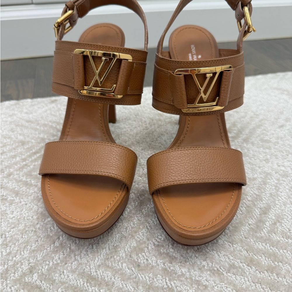 Louis Vuitton Brown Leather Heels with Gold Buckles